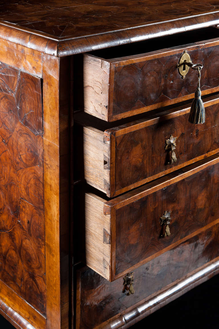 William and Mary Walnut Chest of Drawers 1