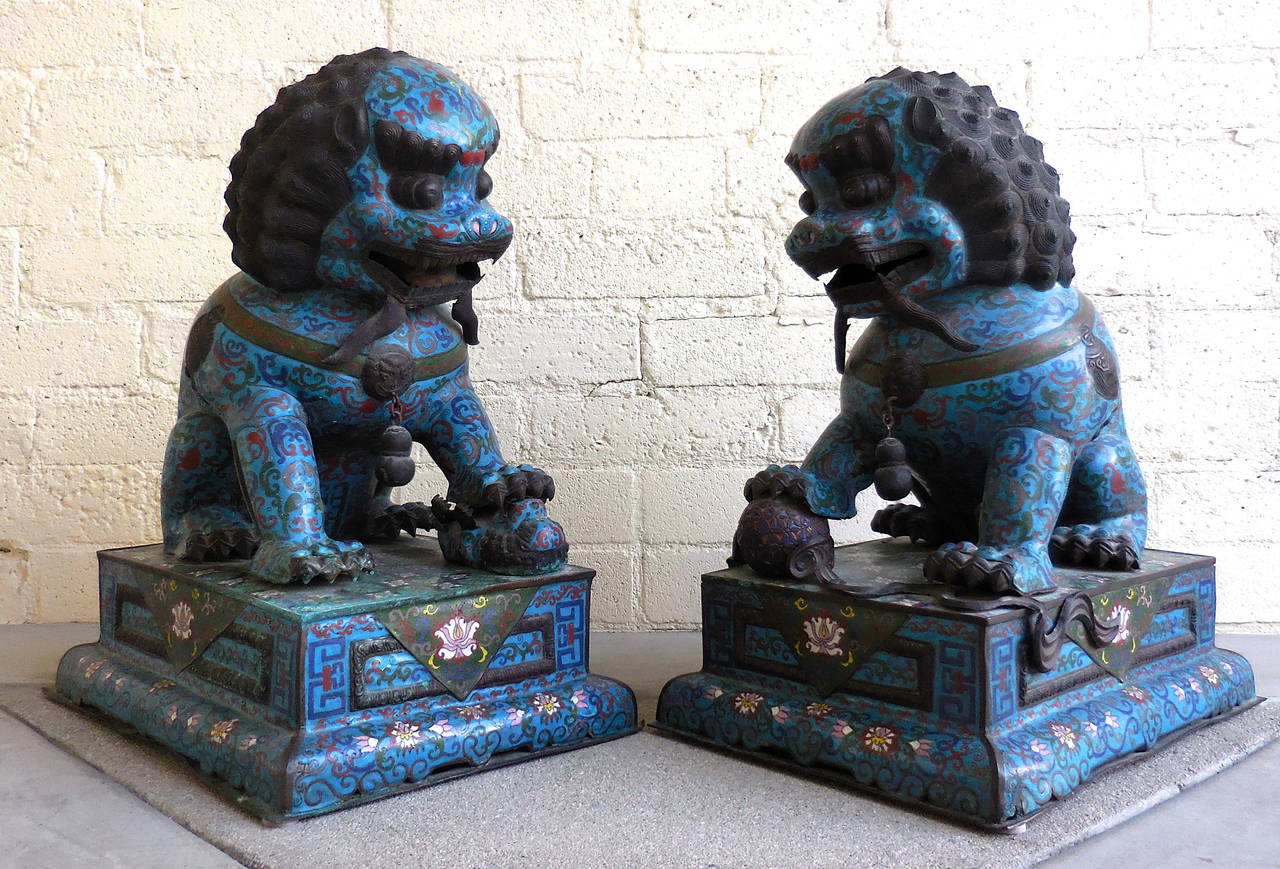 Brass Stately Pair of Mid-19th Century Chinese Cloisonné Temple Dogs