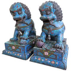 Stately Pair of Mid-19th Century Chinese Cloisonné Temple Dogs