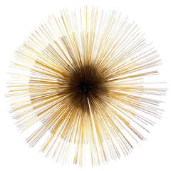 A Large Sea Urchin Brass Wall Sculpture By Curtis Jere c.1987