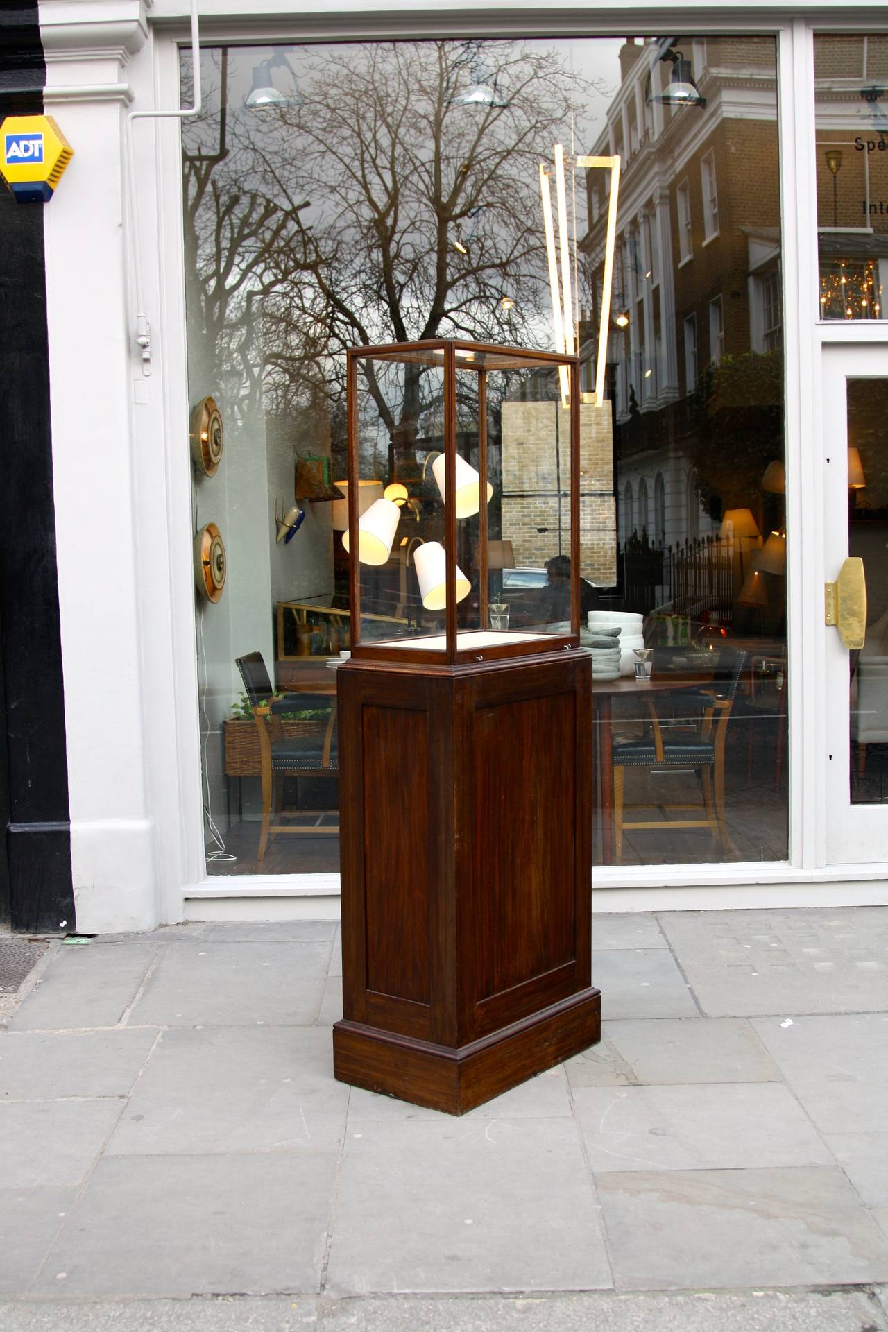 Large rectangular display case from a London museum. Stained oak with a removable glass top.