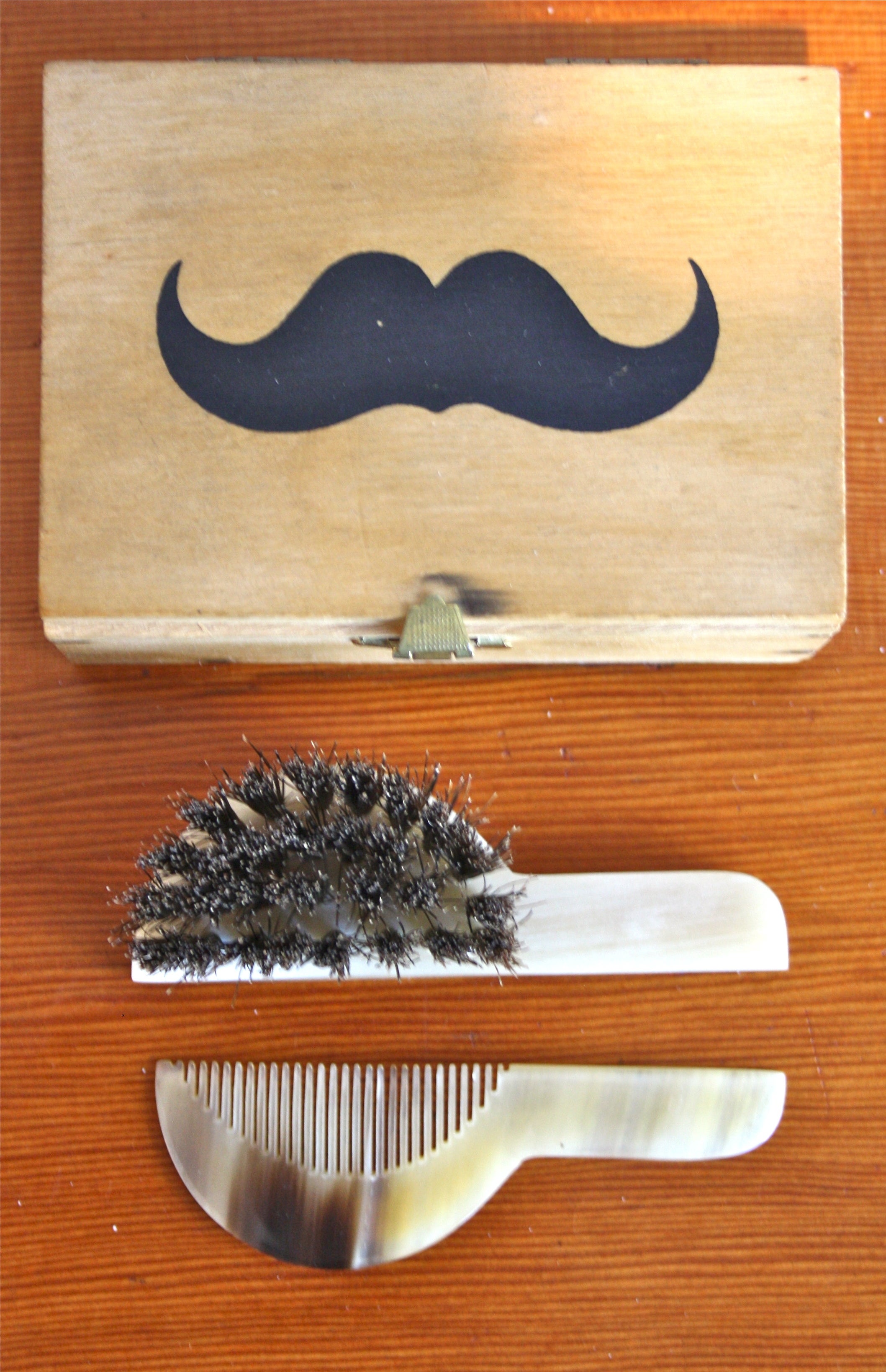 The Ultimate Moustache Kit by Carl Aubock