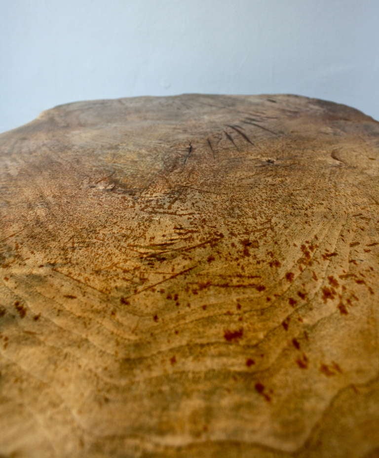 20th Century Strong Tree Trunk Table by Carl Aubock