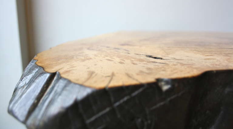 Walnut Strong Tree Trunk Table by Carl Aubock