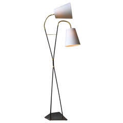 Two Armed Flexible Floor Light