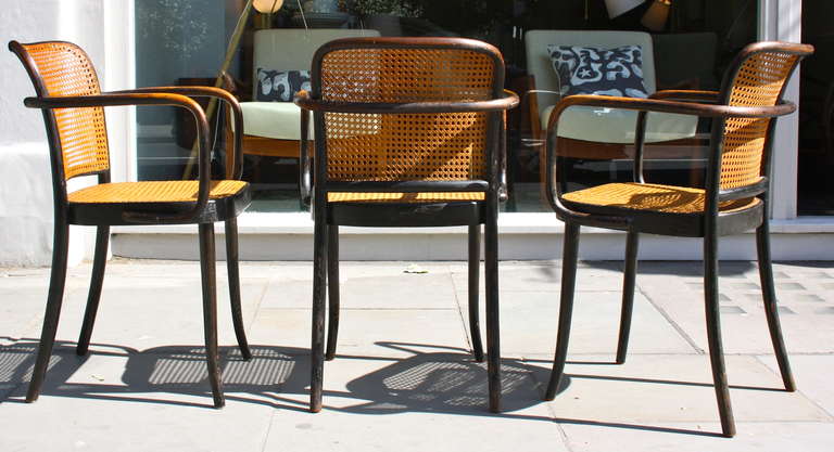 Czech Three Early Thonet Chairs