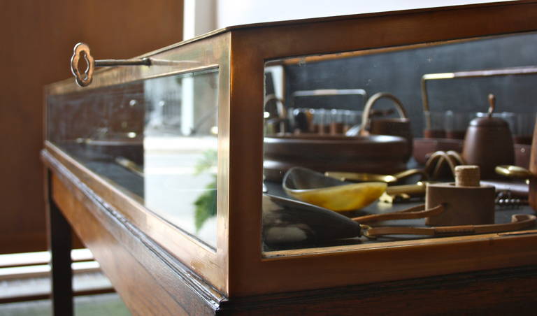 Victorian Museum Display Cabinet