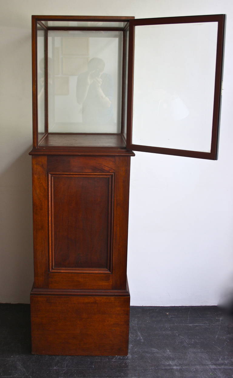 20th Century Pair of Museum Display Cabinets