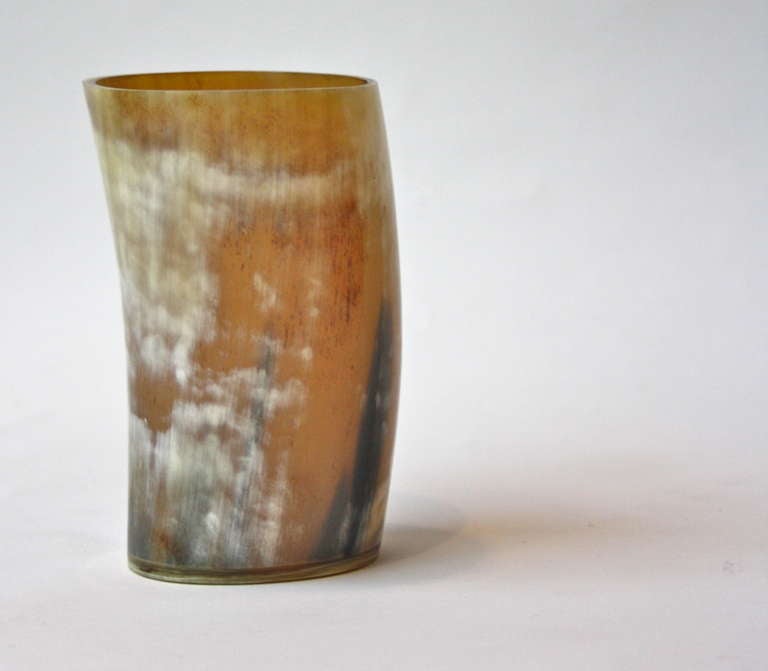 Horn Pencil and Pen Holder