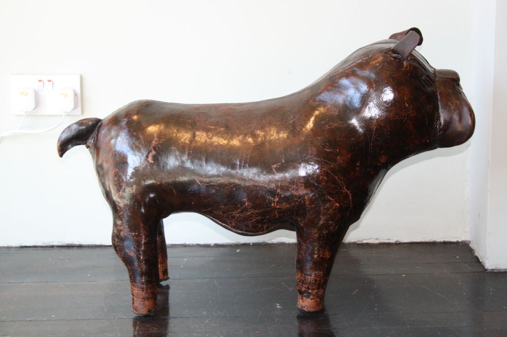 English Leather Bulldog