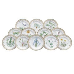 Vintage Flora Danica Dinner Plates, Set of 12