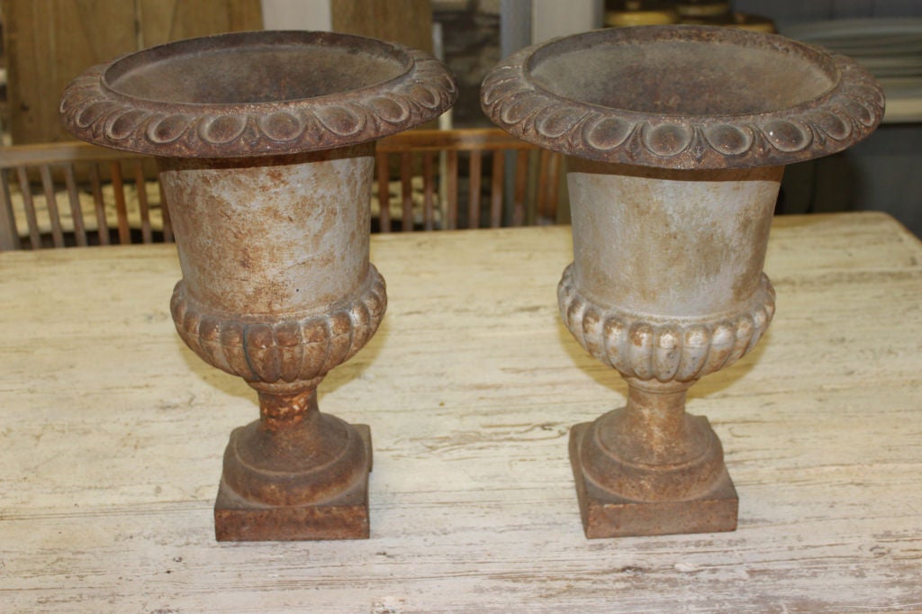 Pair of French Urns