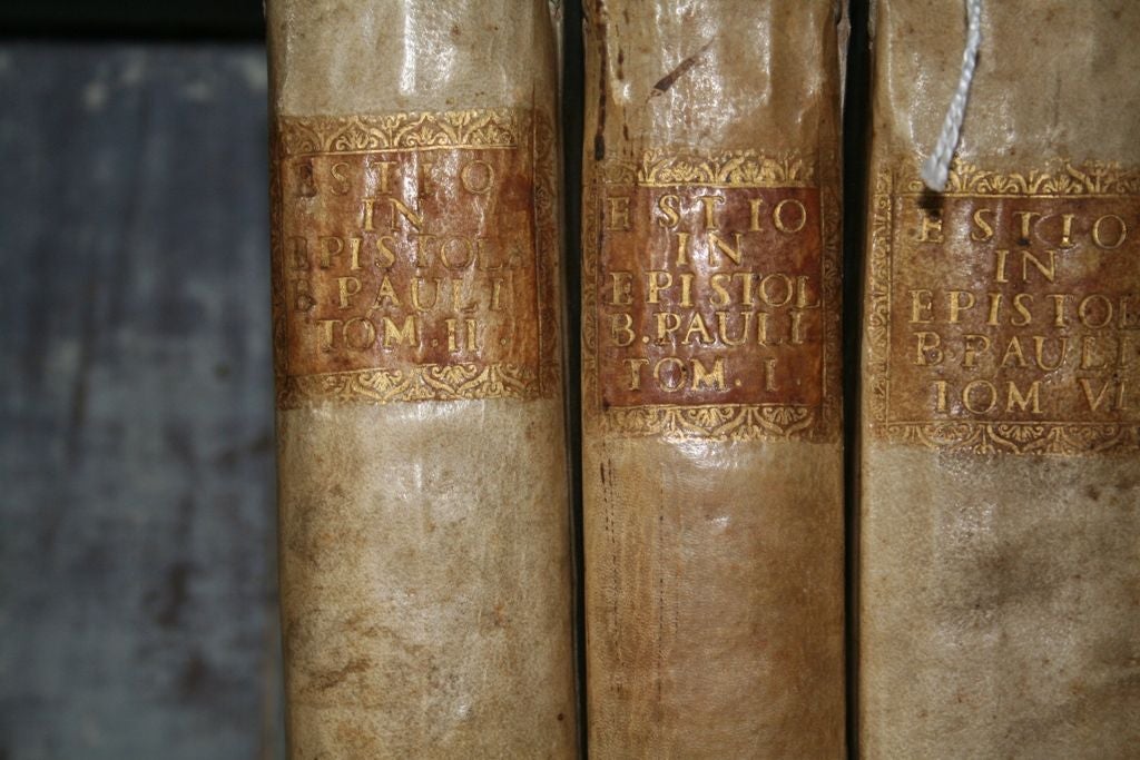 Assortment of Italian Vellum Books