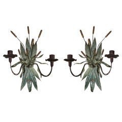 Pair of French Cattail Sconces