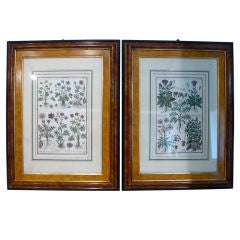 Pair of 18th Century Framed Italian Engravings