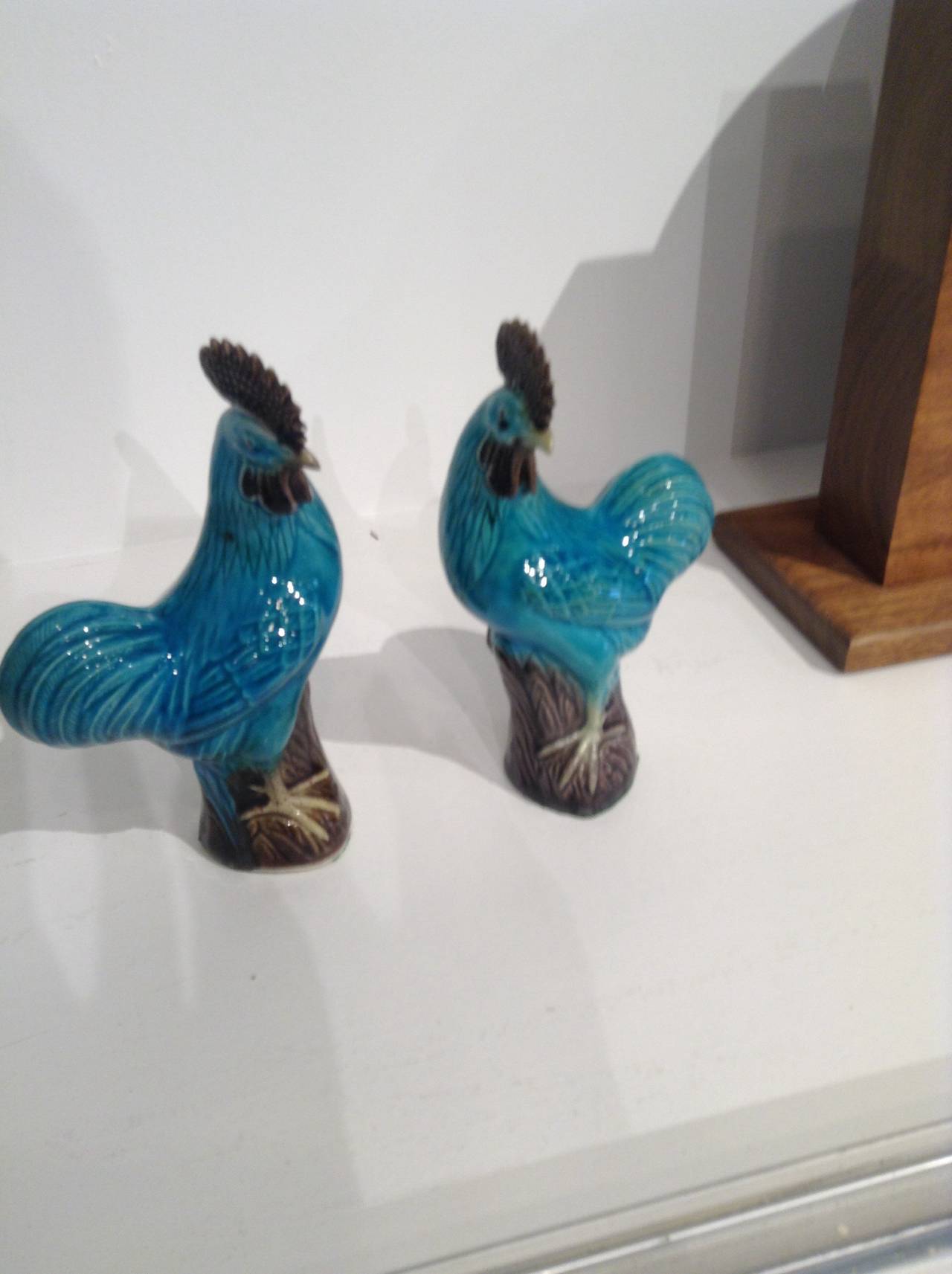 Very attractive pair of Turquoise Chinese cockerels