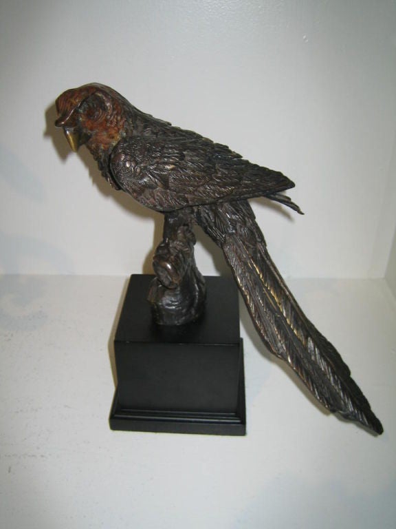 Pair Of Macaw Parrott  Cold Painted  Bronzes