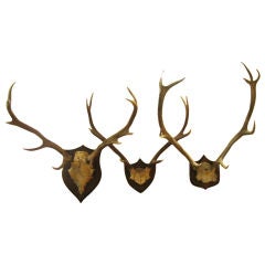 TWO PAIRS OF RED DEER STAG ANTLERS - MOUNTED
