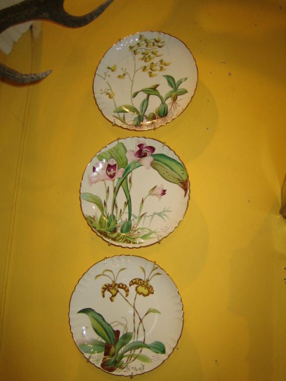 Set Of 3 English Minton Orchid Plates