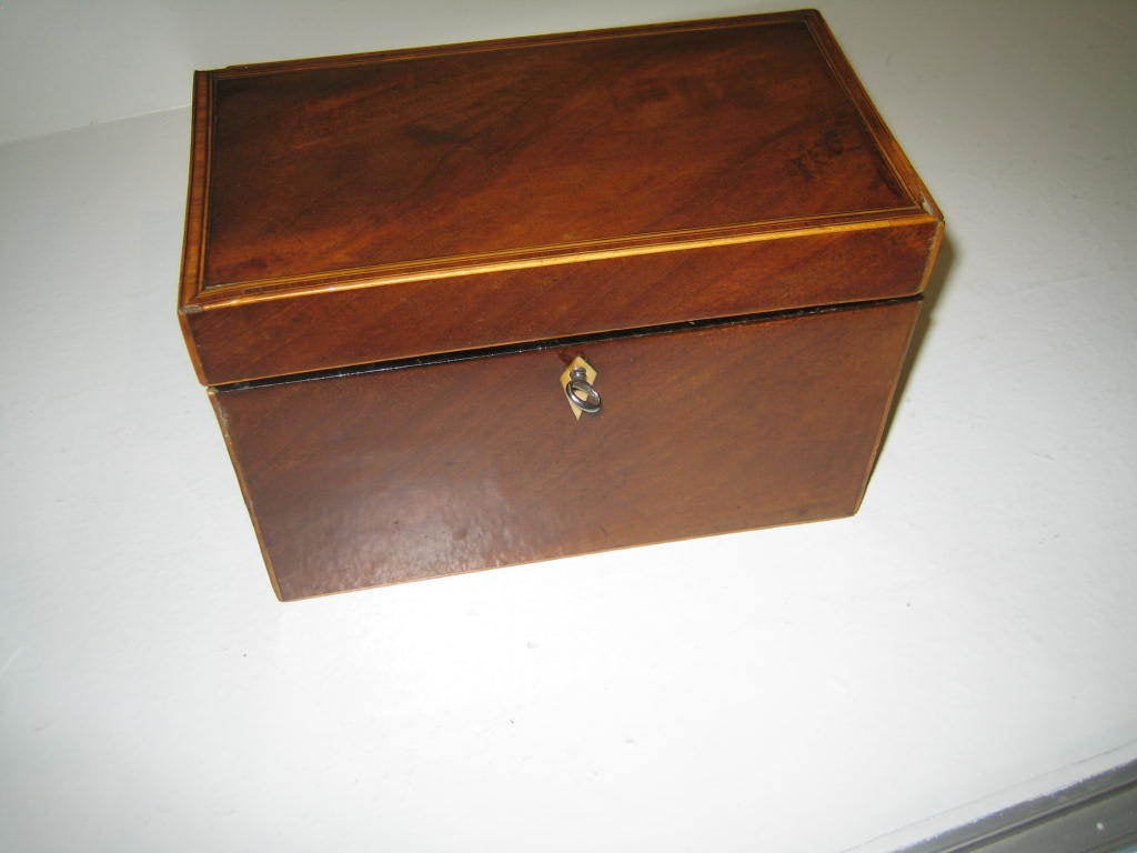 Flame Mahoagany  Inlaid Tea Caddy