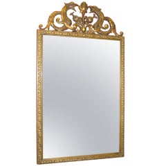 Gilt  Dolphin Mirror