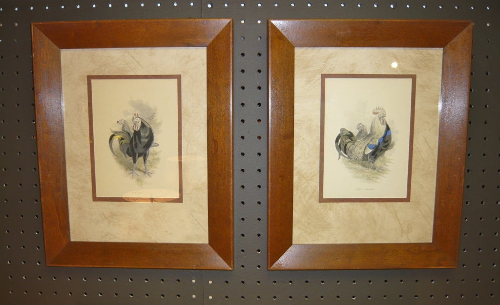 Pair of English Rooster Prints
