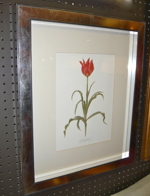 English Art Deco Period Botanical Lithograph  **SATURDAY SALE** In Good Condition In Middleburg, VA