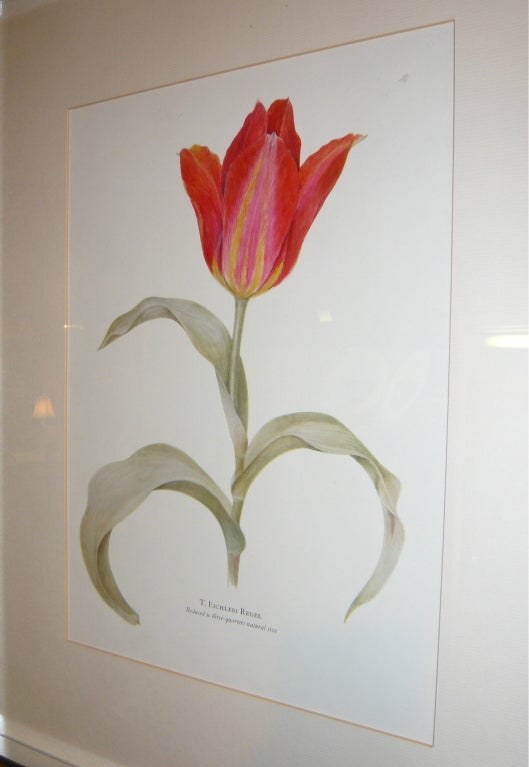 English Art Deco Period Botanical Lithograph  **SATURDAY SALE** 2