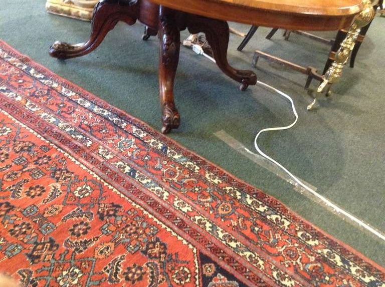 Victorian Burr Walnut English Loo Coffee Table