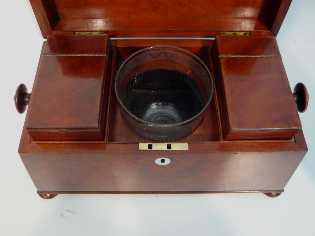 Early Victorian English Mahogany Tea Canister For Sale 3