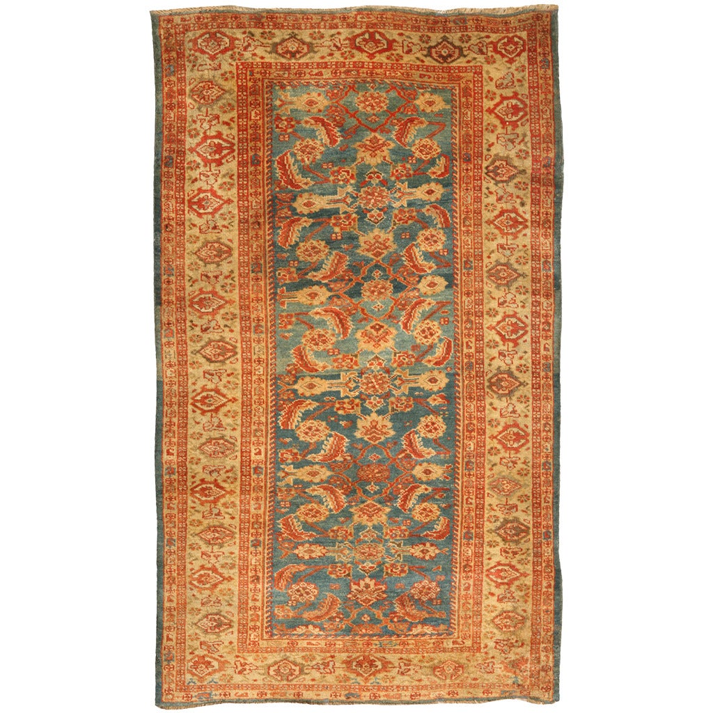Antique 19th Century Persian Ziegler Sultanabad Rug For Sale