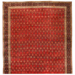 Exceptional Antique Agra Carpet