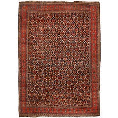 Exceptional & Rare Antique Oversize 19th Century Persian Kurdish Carpet
