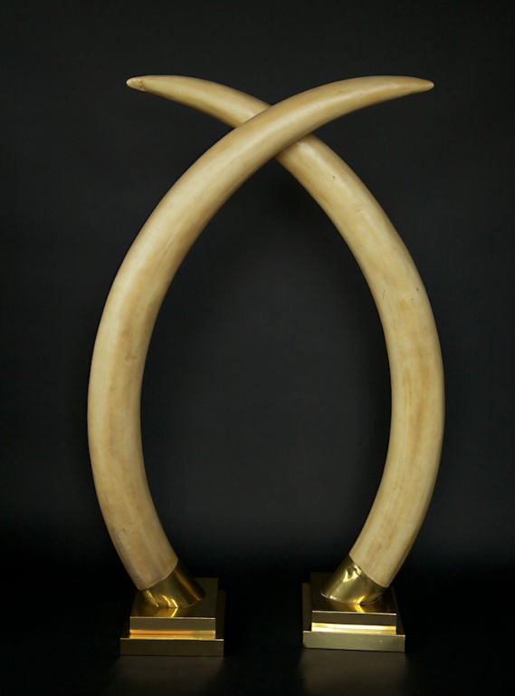 Over five-and-one-half-foot-tall pair of realistic Elephant Tusks fashioned in resin with beautiful gold metal base in excellent condition. *Note: see AD magazine Sept 2011 page 112.<br />
<br />
Inquire about production design rental.