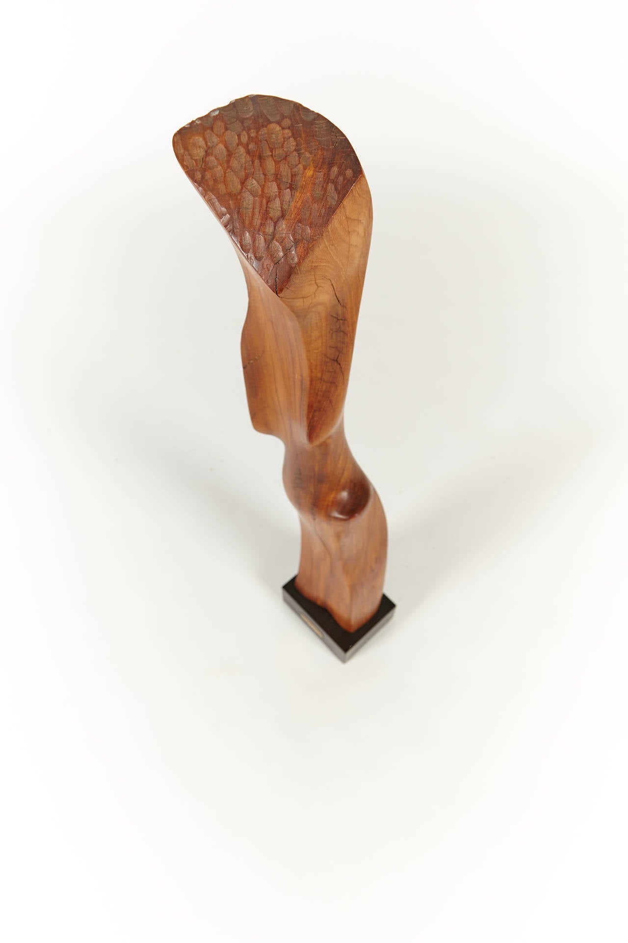 American 1970s Abstract Wooden Sculpture by Ruth Levine