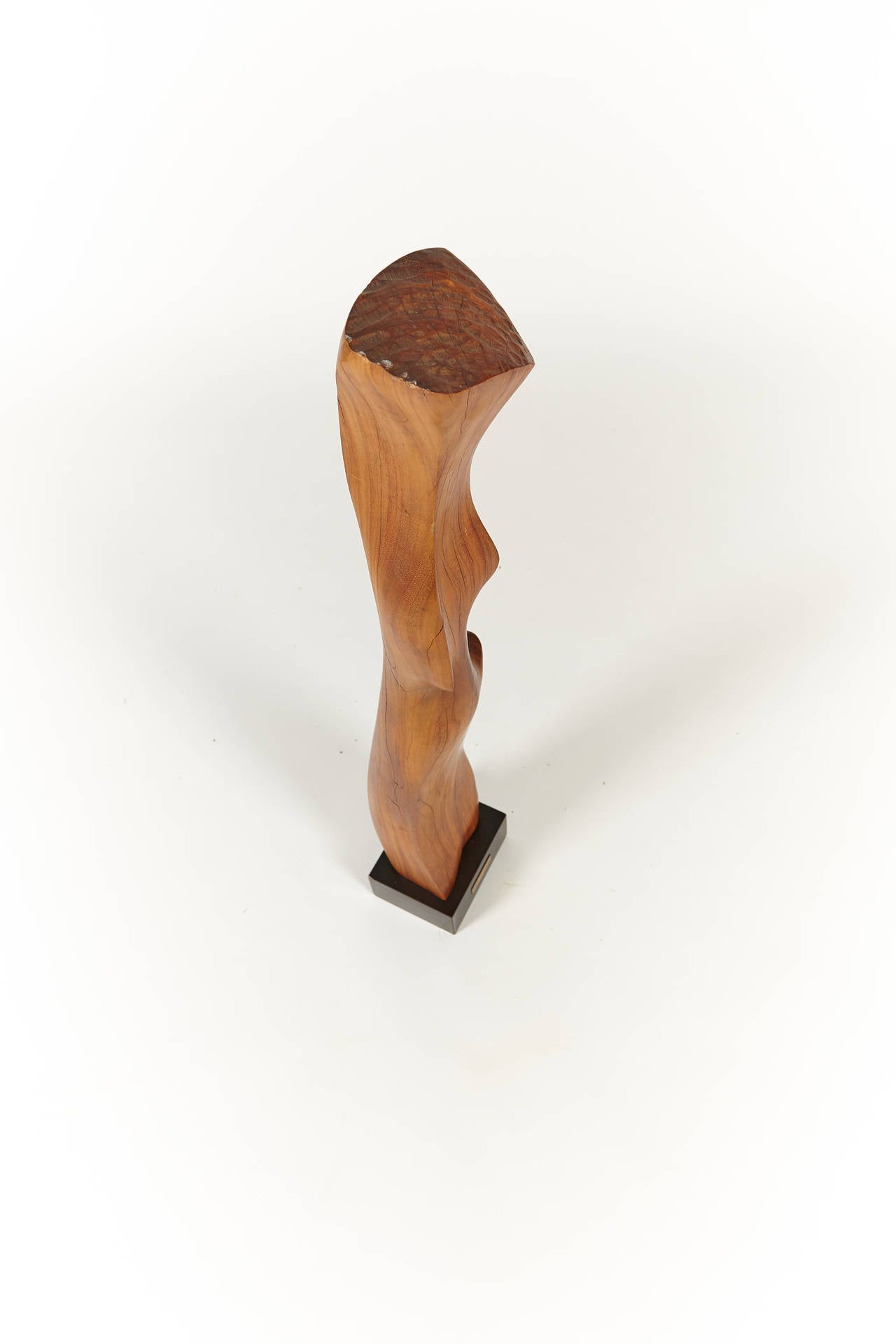 Late 20th Century 1970s Abstract Wooden Sculpture by Ruth Levine