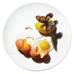 DISH Dinner Plate Series by Patella Brothers 6