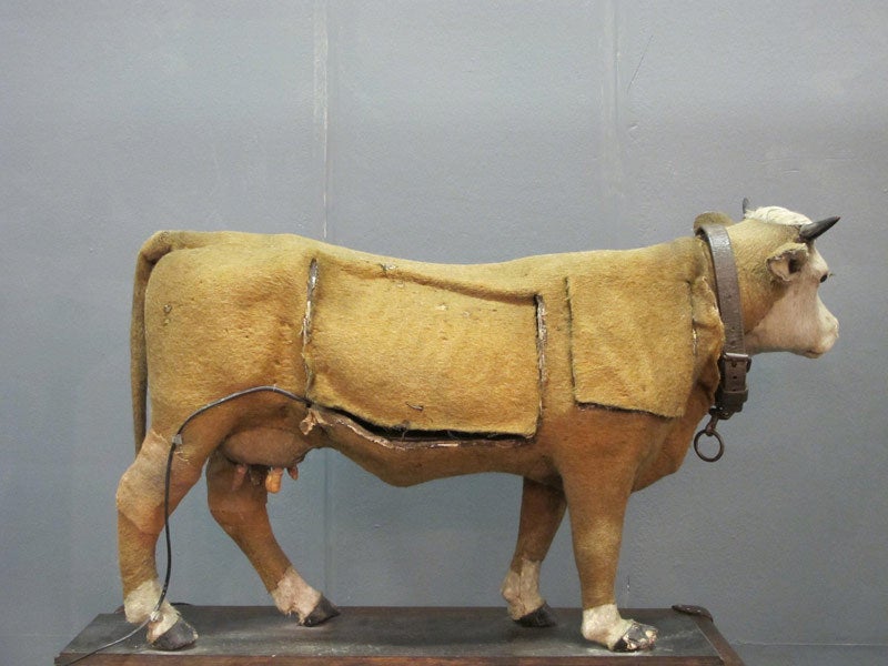 Rare 1920s Large Automaton Cow from a Dairy 1