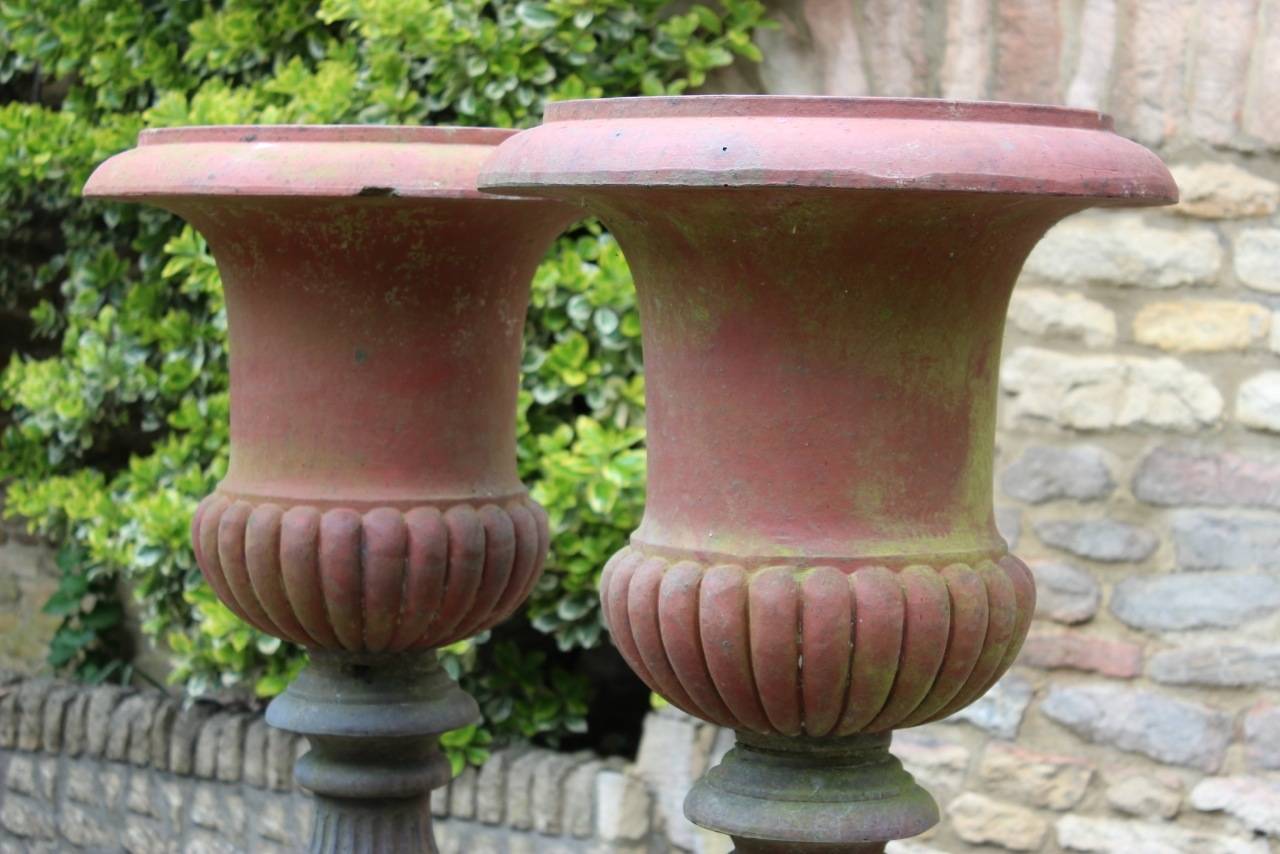 A good pair of large, 19th century English terracotta urns on plinths,ideal for indoor or outdoor use.