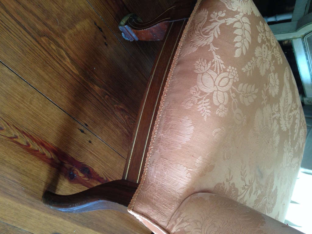 19th Century American Empire Rosewood Slipper Chair with gilt detailing For Sale 1