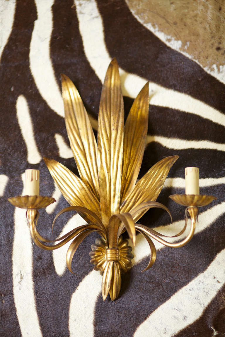 Pair of French tole sconces with stylized fronds. Each sconce has two candle arms with wax sleeves. Hardwired for U.S. The projection from the wall is 9