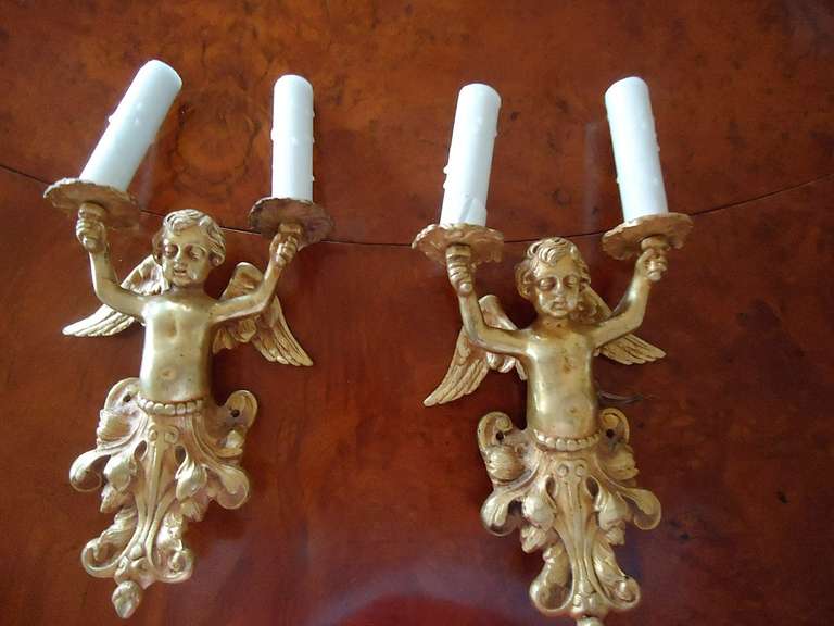 Charming pair of bronze doré putti holding candle arms. These are probably French. They are whimsical and lovely.