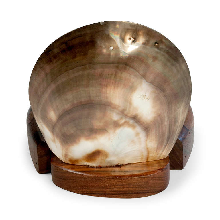 Mid-20th Century Shell and Walnut Hinged Container