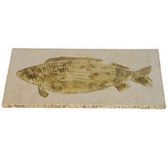 Fish Platter by Roger Capron