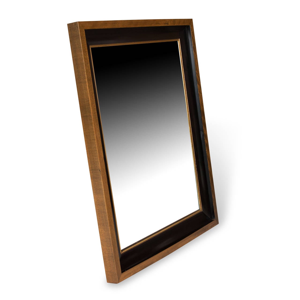 Mahogany and ebonized rectangular frame mirror, outer mahogany border with ebonized curved well, giltwood detail surrounding mirrored glass, American, 1960s. Measures: Height 27 in, width 23 in and depth 1 3/4 in. (Item #2308)

Note: Minor age