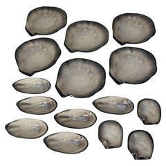 Fifteen Piece Ceramic Shell Service