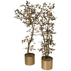 Two Brass Tree Sculptures by C. Jere