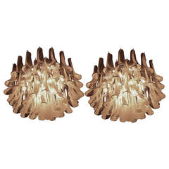 Elegant Pair of Petal Murano Chandeliers