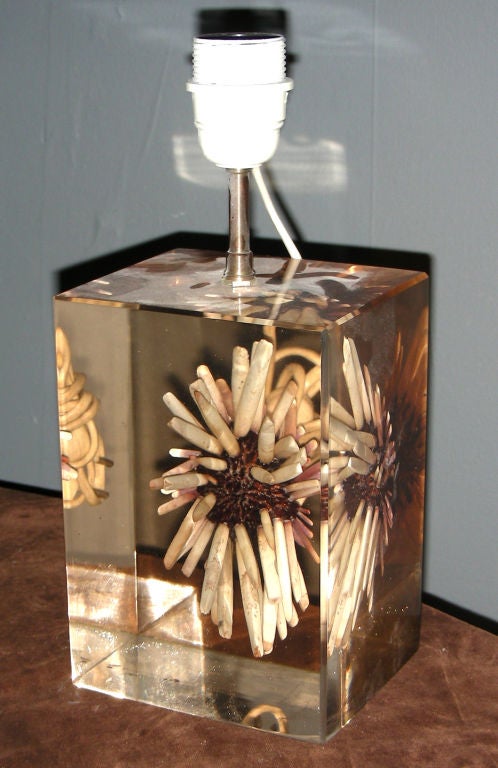 A resin sea urchin table lamp