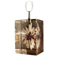 Vintage A resin sea urchin table lamp